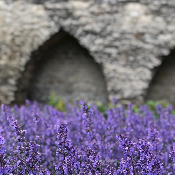 Meet your Posher, Lisa - Picture 4 of 6